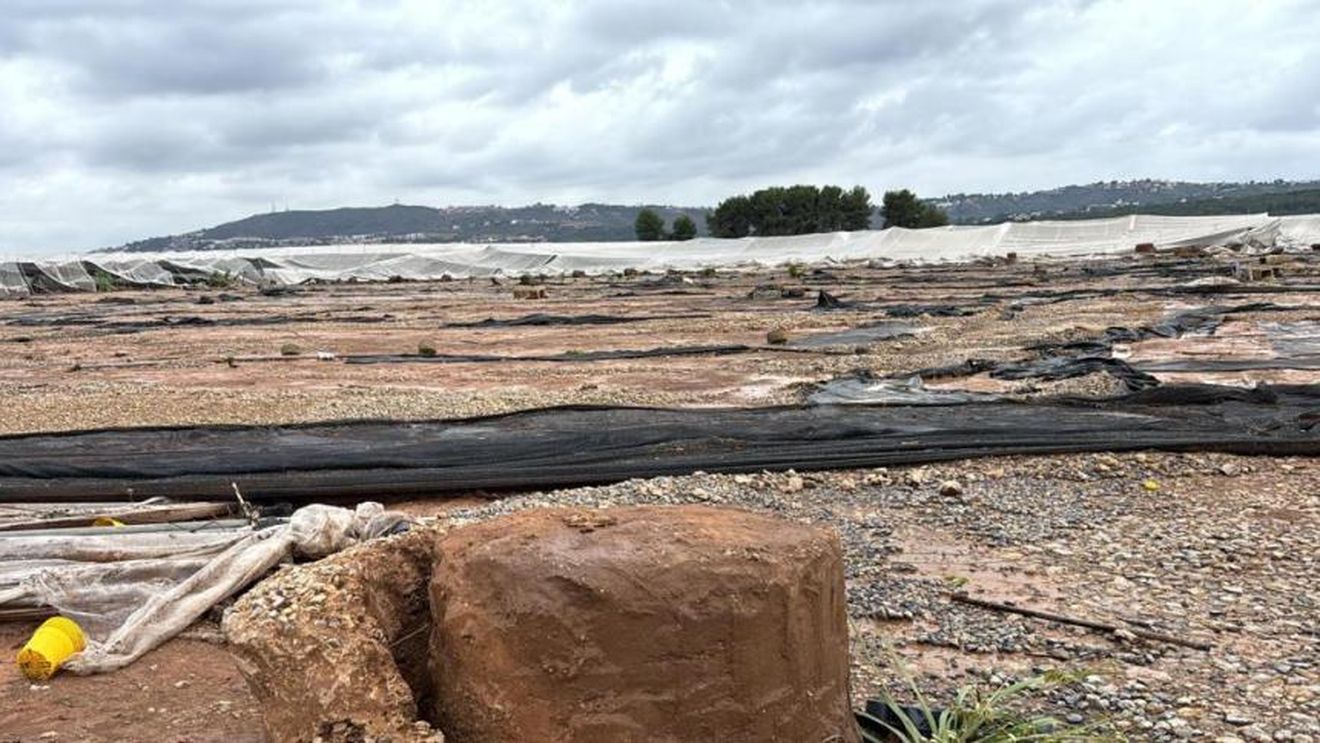 43 de milioane de euro ajutor pentru fermierii din zona Valenciei afectați de fenomenele devastatoare din toamna trecută/DANA, conoscută ca ”picătura rece” care a lovit comunitatea spaniolă în toamna anului trecut a lăsat în urmă pierderi de vieți omenești și localități și terenuri agricole complet distruse