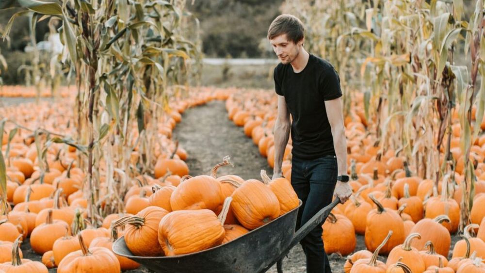 Summit-ul G7 pentru Agricultură și Pescuit, în desfășurare în Italia/”În ultimii ani, numărul tinerilor care intră în sectorul agricol este în scădere constantă. Vârsta medie a agricultorilor este mai mare de 55 de ani”,  Francesco Lollobrigida, ministrul italian al Agriculturii