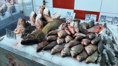 Prețul la pește crește în Deltă odată cu costurile pentru carburant/ Pescarii tulceni au majorat tariful pe care-l cer punctelor de debarcare şi centrelor de primă vânzare a peştelui pentru capturile proprii