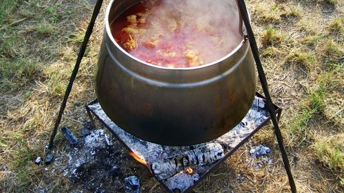 Festivalul Toamna la Ceaun în București- de joi până duminică, în Parcul Naţional