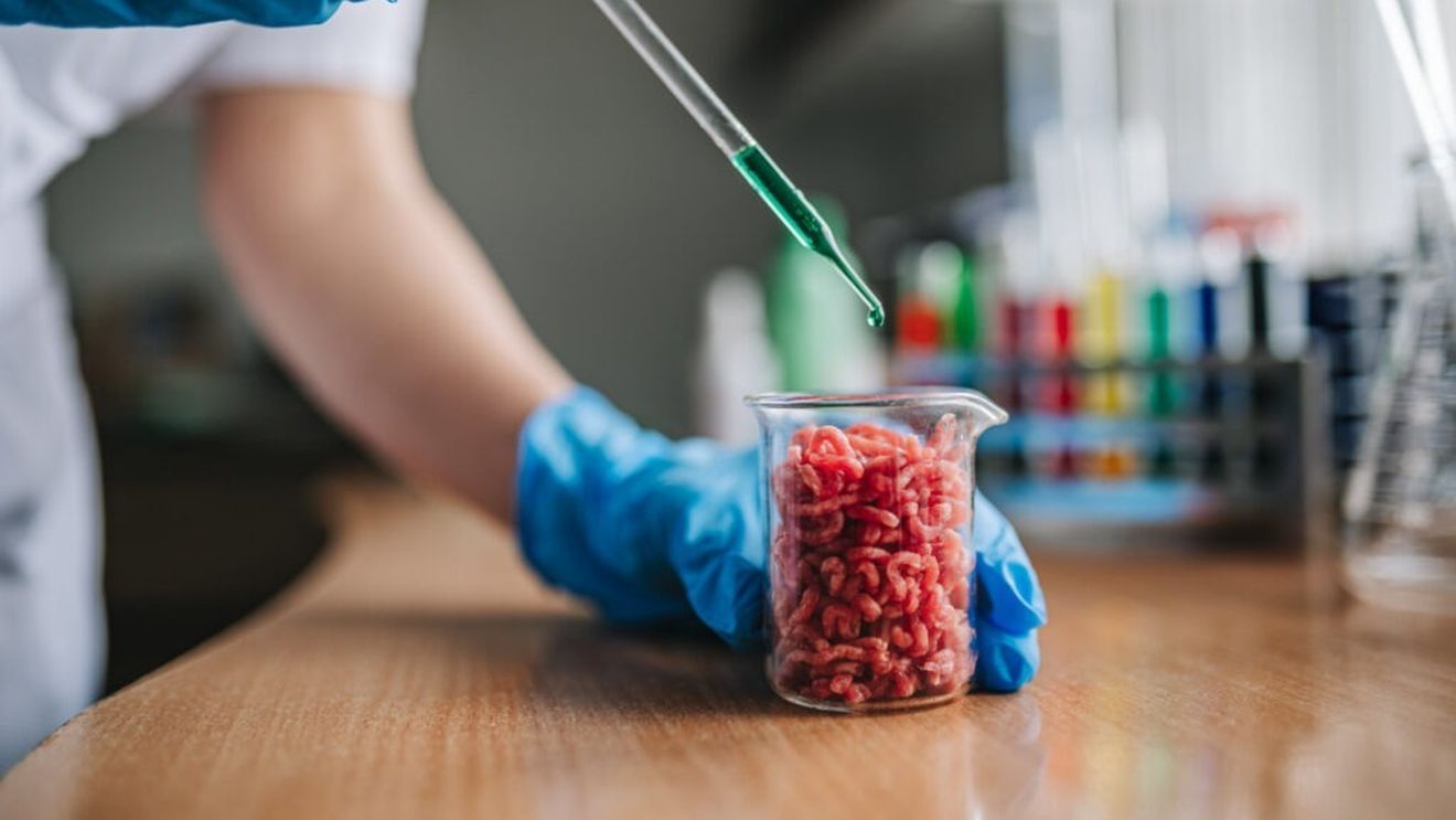 Interzicerea cărnii crescute în laborator în Statele Unite, văzută ca un „autogol” al războiului cultural / Producător: America cedează un avantaj competitiv,