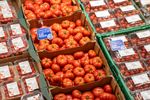 ANALIZĂ | Cum este Europa invadată de roșiile marocane. O concurență neloială prin care, pe mesele europenilor, ajung fructe și legume ieftine, dar infestate de pesticide periculoase pentru sănătate