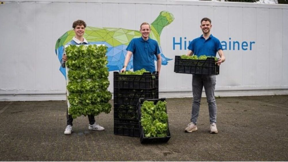 Doi tineri din Ucraina au început o afacere pe cont propriu după absolvire. Start-up-ul Wageningen produce legume proaspete într-un container de transport în Ucraina