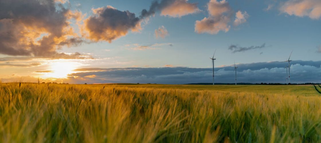 Fermele regenerative au pierdut de trei ori mai puțin din producție în timpul secetei din Franța / Studiul care arată cum poate fi protejată agricultura în fața schimbărilor climatice