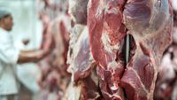 România a produs mai multă carne de porc și pasăre în ianuarie, în timp ce sectorul bovinelor și ovinelor a scăzut, arată INS