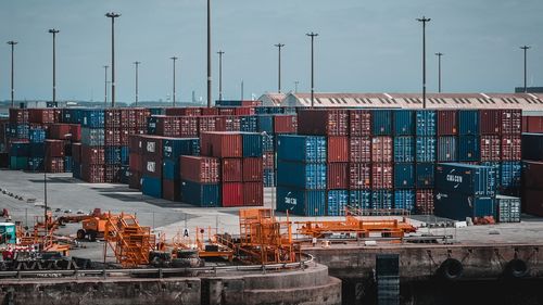 Reprezentanți guvernamentali promit îndepărtarea barierelor din calea comerţului pentru companiile româneşti care exportă produse agroalimentrae în Israel