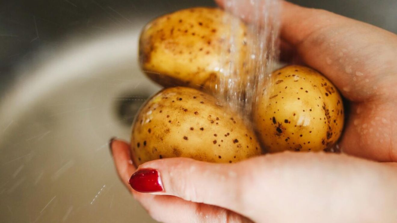 Cartoful păcii. Cum au adus tuberculii americani stabilitate în Europa și au stimulat dezvoltarea economico-socială