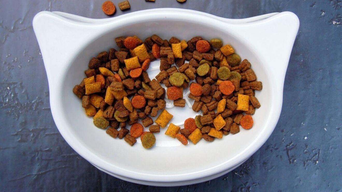 Advent International și CVC Capital vor să cumpere producătorul de hrană pentru animale Partner in Pet Food