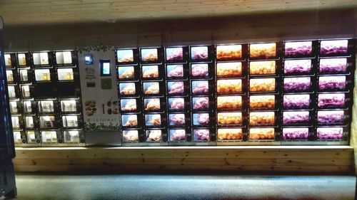 Primul „automat” de cartofi din România / Cum a ajuns un fermier din Bihor să vândă toată recolta la poarta fermei / Ideea i-a venit în urma unei vizite în Austria, unde a observat un sistem similar