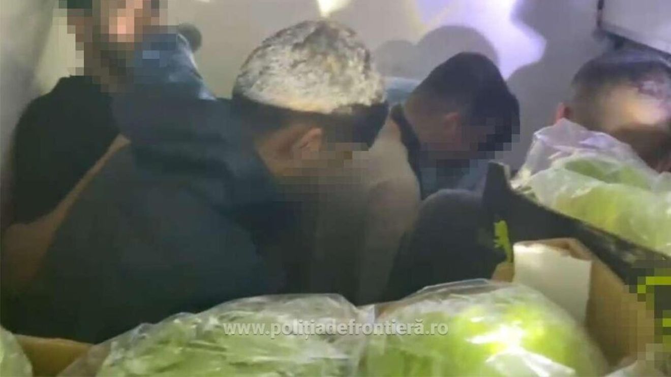 FOTO | 15 migranţi descoperiţi la Bechet ascunşi într-un microbuz care transporta legume