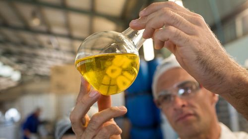 Biocombustibilii revin în atenția UE. Pot câștiga fermierii europeni din noua strategie energetică?