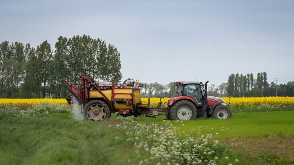 Substanțe chimice pentru agricultură expirate, descoperite în Buzău / Săptămâna trecută au fost găsite astfel de produse și la Arad