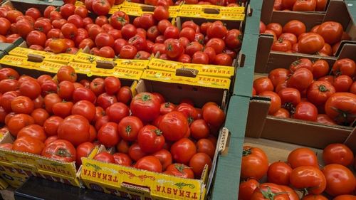 România a importat în primele șase luni ale anului fructe și legume proaspete din Turcia în valoare de peste 162 de milioane de dolari