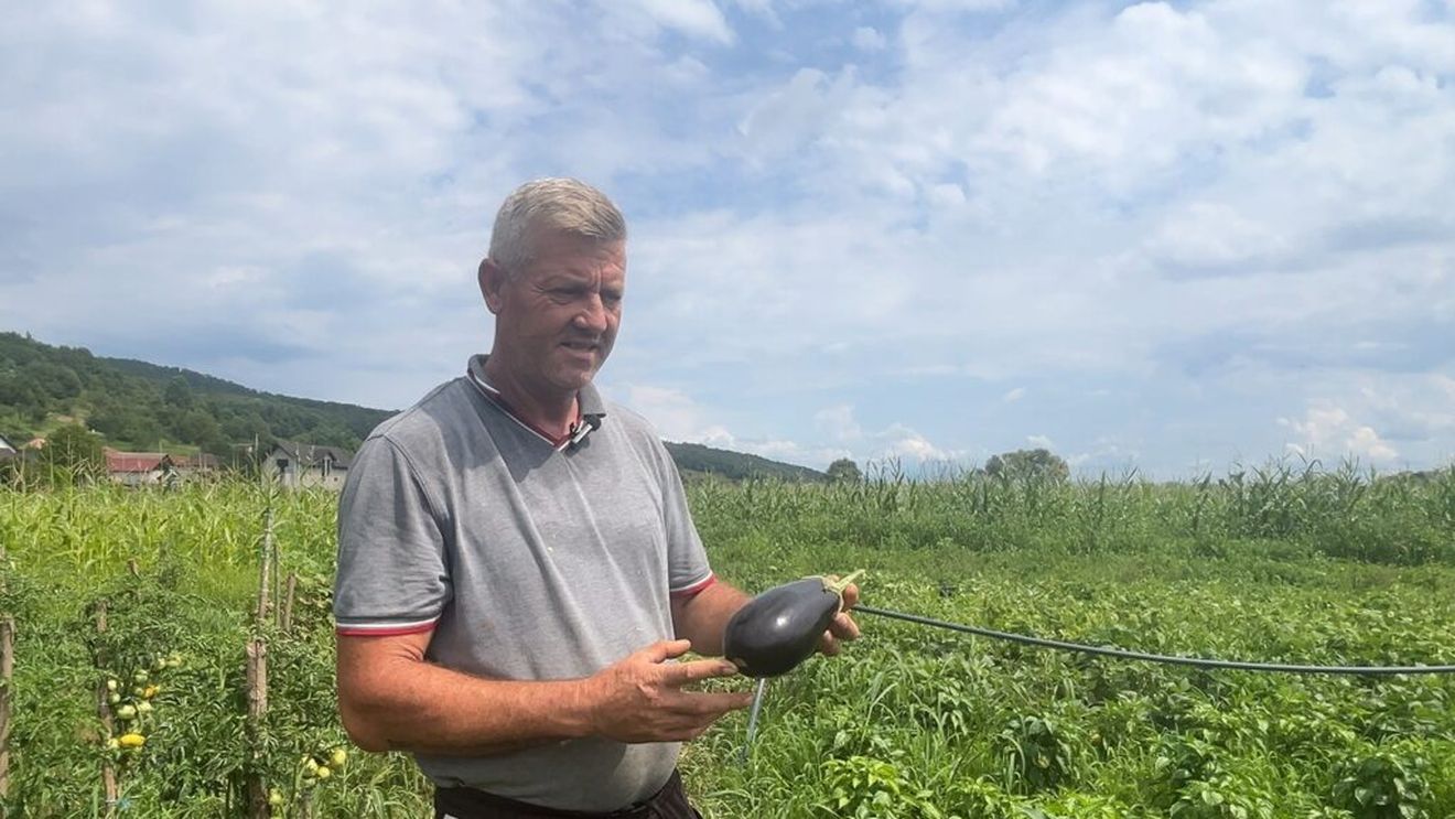 VIDEO | Viața între munca la câmp și microferma avicolă / Românul care a lăsat străinătatea pentru hrana curată de acasă: „Vreau să învățăm lumea să mănânce ceva sănătos”