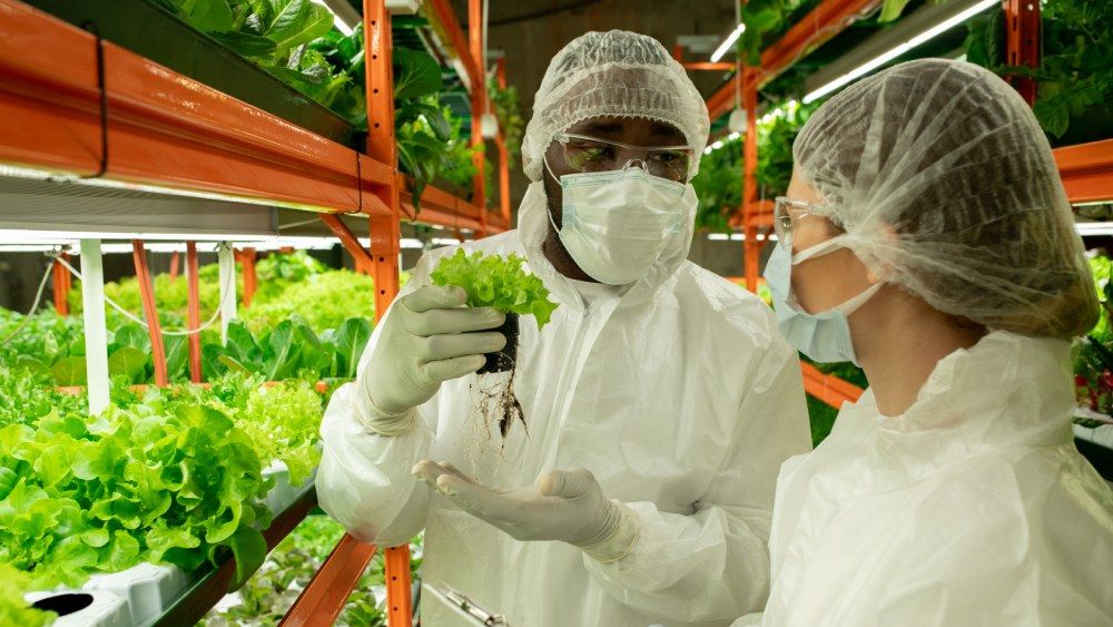 CE lansează un nou centru pentru biotehnologie şi biofabricare pentru a sprijini întreprinderile inovatoare/ Biotehnologia este una dintre industriile inovatoare cu potenţial de a revoluţiona sănătatea, industria, agricultura, produsele alimentare şi hrana pentru animale