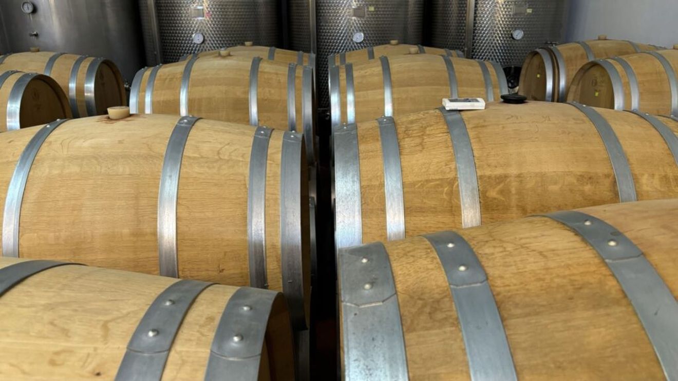 Moștenirea francezului sau după 20 de ani la o cramă din Dealu Mare