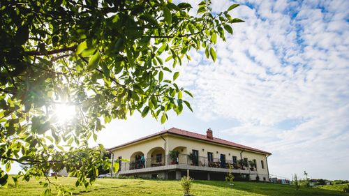 Județul Vâlcea lansează „Oltentic Muse”, un program care pune gastronomia locală în centrul promovării turistice