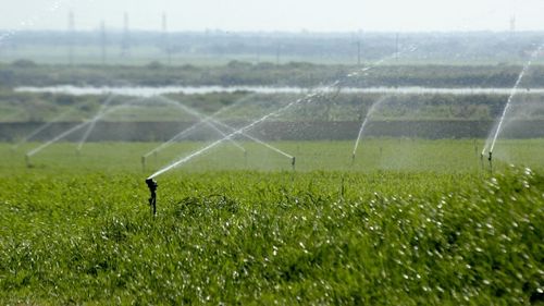 Sistemul de irigaţii din România se va extinde anul acesta, iar planul este ca, până în 2027, să se ajungă la 2,7 milioane de hectare, susține ministrul agriculturii