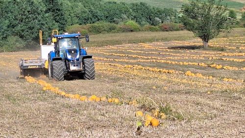 UNCSV: Cooperativele au demonstrat că reprezintă singura şansă pentru dezvoltarea agriculturii durabile