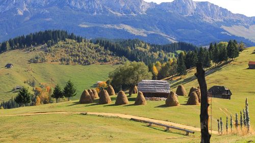 BANII PENTRU ZONA MONTANĂ, CHELTUIȚI DE MÂNTUIALĂ? ”50.000 de euro pentru o incintă improvizată cu un frigider și o mașină”, arată o anchetă G4Media, realizată pe baza unor dezvăluiri făcute de avertizori de integritate