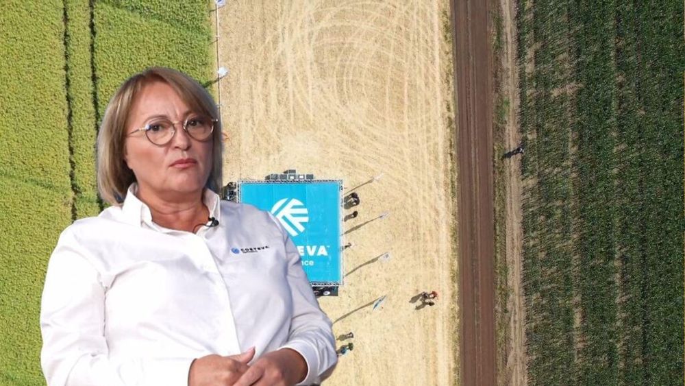 Video | De ce România nu mai este cel mai mare producător de porumb din Europa/ Maria Cîrjă, Corteva: „Suprafețele cultivate cu porumb au scăzut în ultimii 4 ani cu 1.200.000 de hectare”