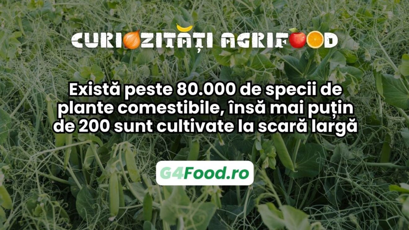 Curiozitate agri-food 17 martie: Există peste 80.000 de specii de plante comestibile, însă mai puțin de 200 sunt cultivate la scară largă