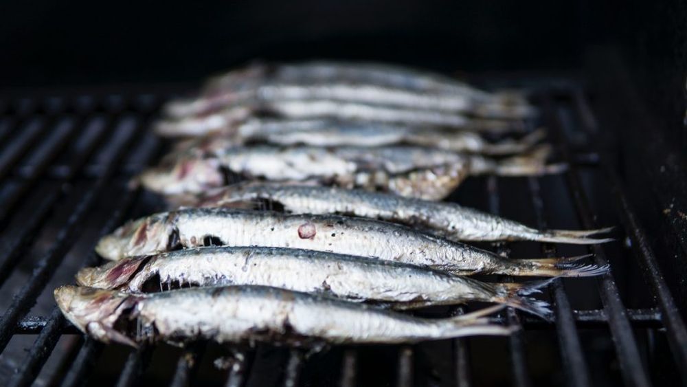 Pescarii scoțieni plătesc prețul Brexit: vând tot mai greu pe piața europeană, peștele li se strică în camioanele oprite în vămile de la frontiera U.E.