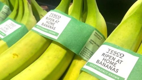 Un mare retailer din UK vinde banane necoapte, pentru a reduce risipa alimentară la domiciliu