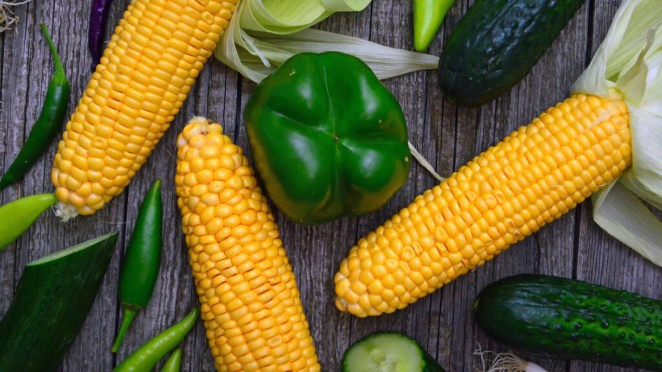 Valoarea producţiei ramurii agricole a crescut în anul 2023 cu 0,6%, la 109,89 miliarde lei, anunță INS