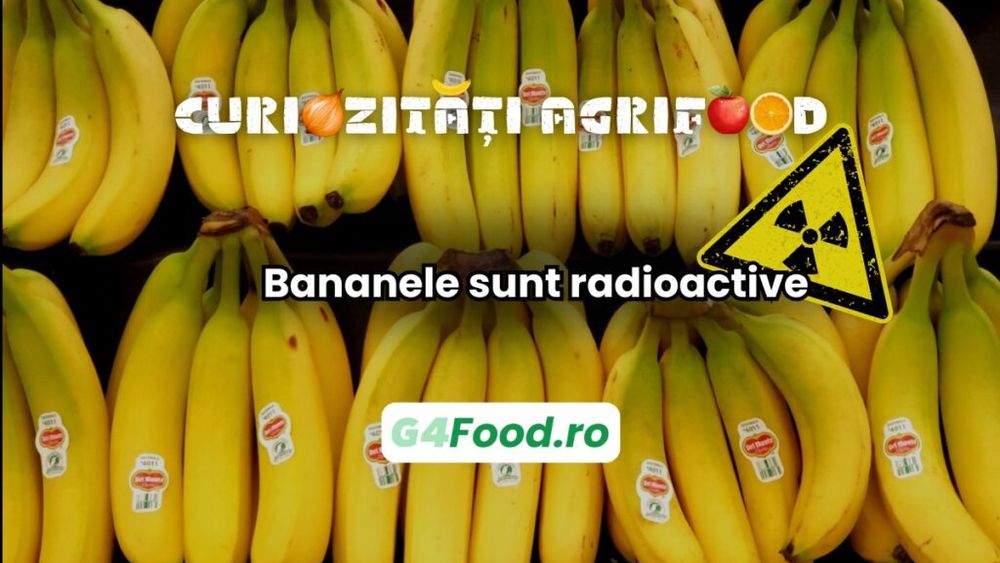 Curiozitate 06 februarie: Bananele sunt radioactive / Conțin potasiu-40, un izotop radioactiv natural / Totuși, nivelul de radiație este foarte scăzut și inofensiv pentru sănătate