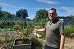 GALERIE FOTO | De la roșiile bunicilor la agricultura de pe YouTube: cum au renăscut grădinile urbane ale Timișoarei