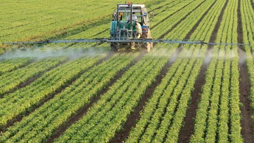 Analiză: Crește discrepanța de venituri între cele mai mari și cele mai mici ferme din Europa