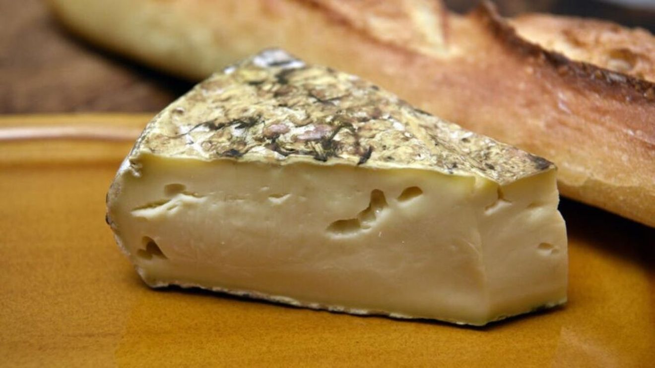 Val de toxiinfecții alimentare în Franța, din cauza bacteriei Salmonella/Autoritățile au identificat ca sursă brânzeturile din lapte de vacă produse la o fabrică din departamentul Cantal