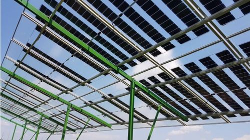 Tehnologia hortivoltaică, soluția pentru livezile din sudul României: Panouri fotovoltaice semitransparente testate în cultura cireșului amar