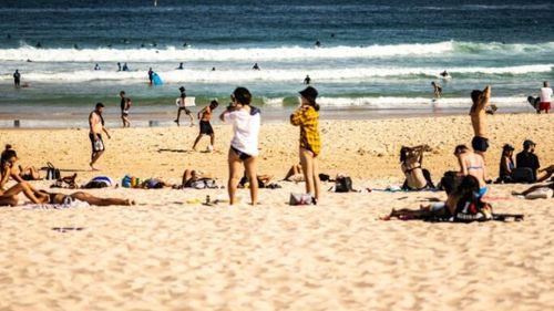 Ce alimente nu trebuie să iei cu tine la plajă. Căldura le poate transforma în pericole pentru sănătatea familiei tale