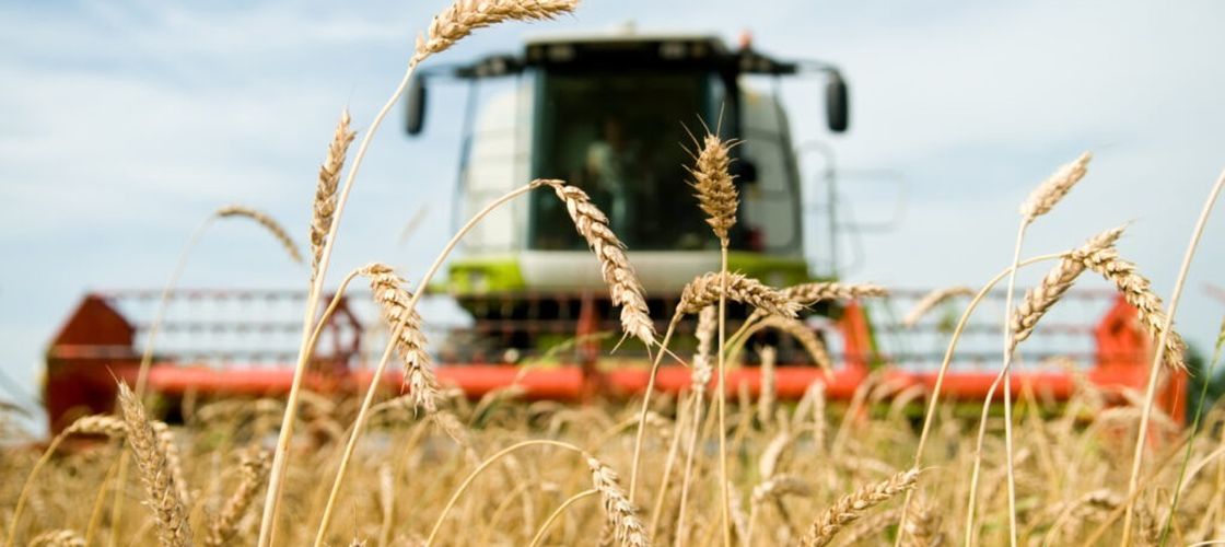 Parlamentul European aprobă noi norme pentru plantele modificate genetic prin Noile Tehnici Genomice