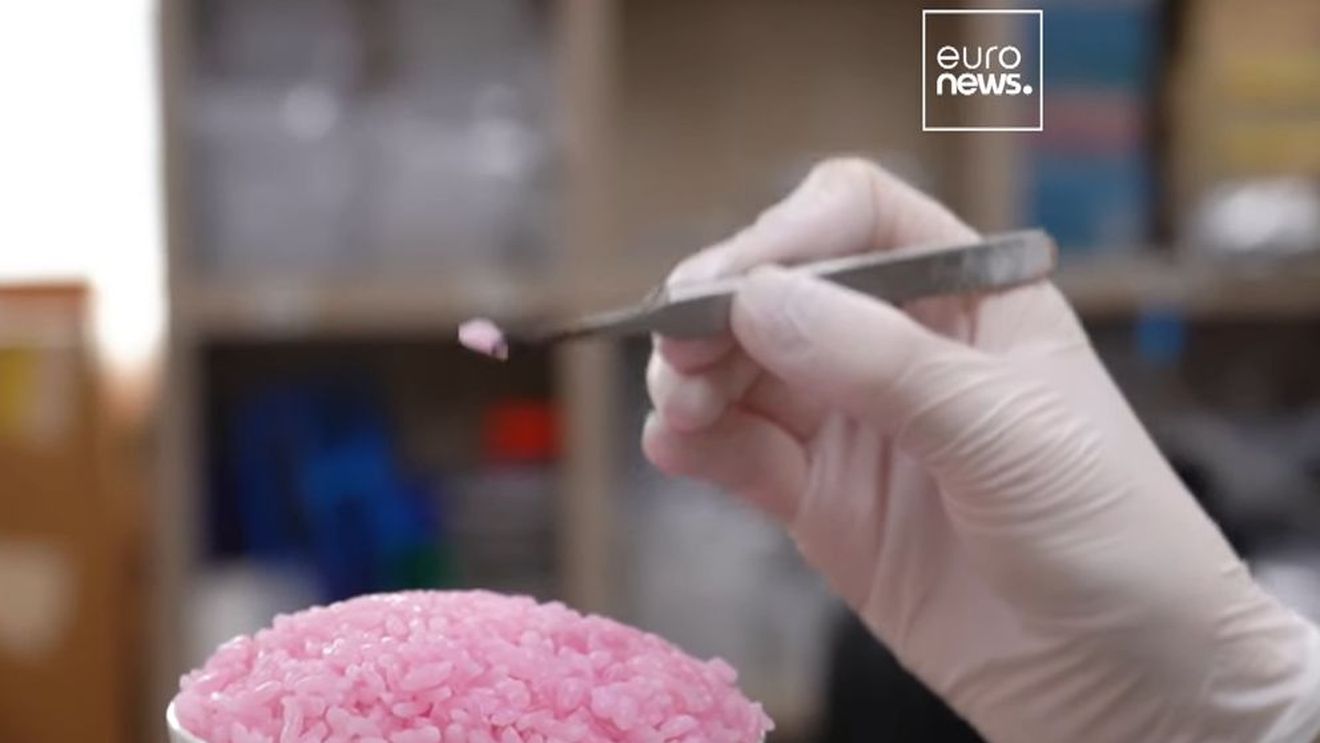 VIDEO O echipă de cercetători a dezvoltat orez roz, care are integrate celule animale / Are mai multe proteine decât orezul convențional