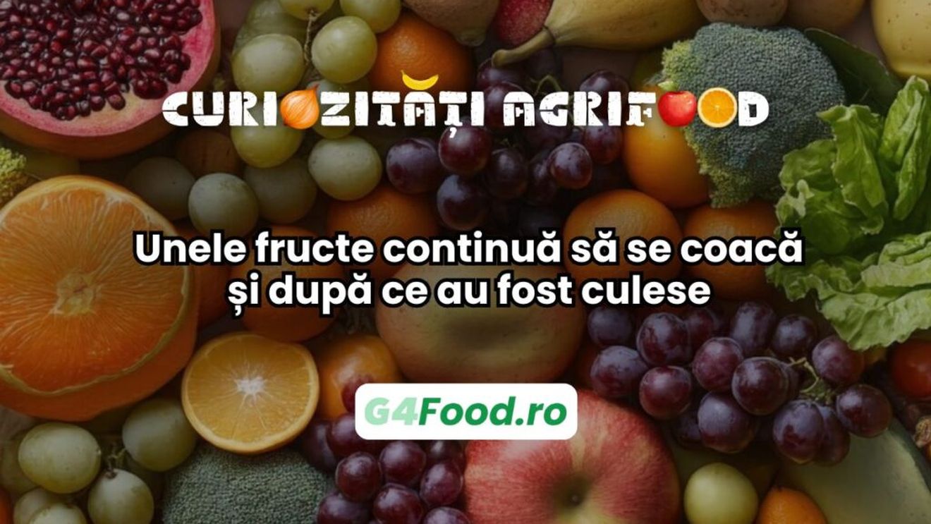 Curiozități agri-food: Unele fructe continuă să se coacă și după ce au fost culese / Procesul se numește coacere climacterică