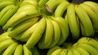 Bananele verzi nu trebuie neapărat evitate / Specialiștii spun că pot avea chiar un avantaj important pentru sănătate