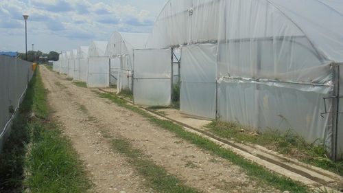 Un fost ofițer de rang înalt, acum patron de firmă de protecție și pază, a înființat cea mai mare fermă legumicolă din județul Dâmbovița și vinde legume în hypermarketuri