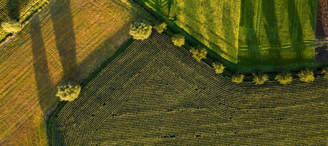 Agricultura regenerativă, între seceta din România și scumpirea îngrășămintelor: „Solurile mai sănătoase rețin mai bine apa”