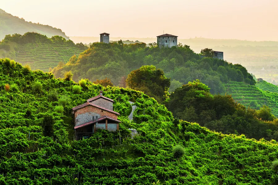 prosecco-superiore-conegliano-valdobbiadene-vinuri-spumante-vinuri-din-italia-prosecco-vinuri-premium-vinuri-artizanale-col-fondo-terroir-crame-din-italia