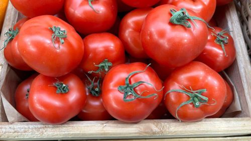 Programul Tomata și programul Usturoiul vor suferi modificări la condițiile de finanțate, anunță ministrul Agriculturii