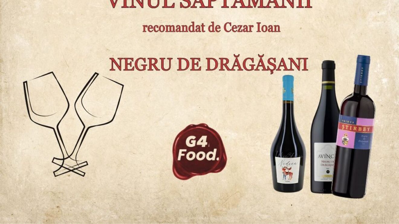 VIDEO | Vinul săptămânii | „Negru de Drăgășani”, soiul românesc obținut în 1993 prin încrucișarea soiurilor Saperavi și Negru vârtos