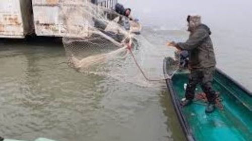 Tulcea: Administraţia Deltei face apel la pescari să nu folosească setcile cu ochiuri mai mici de 70 mm
