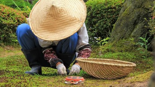 Exporturile de produse alimentare japoneze au atins un nou record în 2025, graţie cererii puternice din SUA
