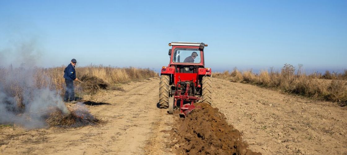 Situație alarmantă în agricultură. Insolvențele au crescut cu aproape 80% în primul semestru, iar 40% dintre companiile mari sunt în risc