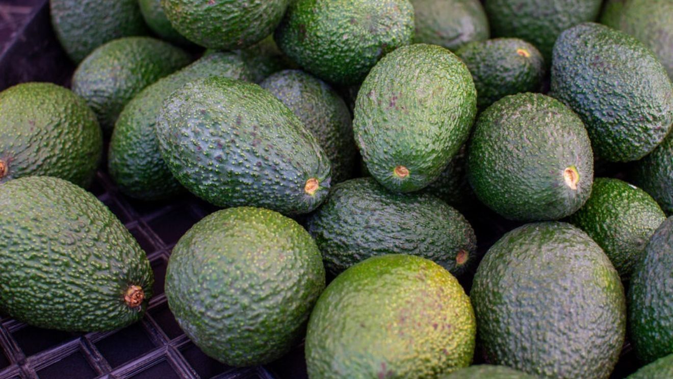 Două rețete cu avocado, care te vor ajută să reduci efectele asteniei de primăvară/ Acest superaliment, bogat în nutrienți esențiali și grăsimi sănătoase, este un adevărat aliat împotriva oboselii de sezon