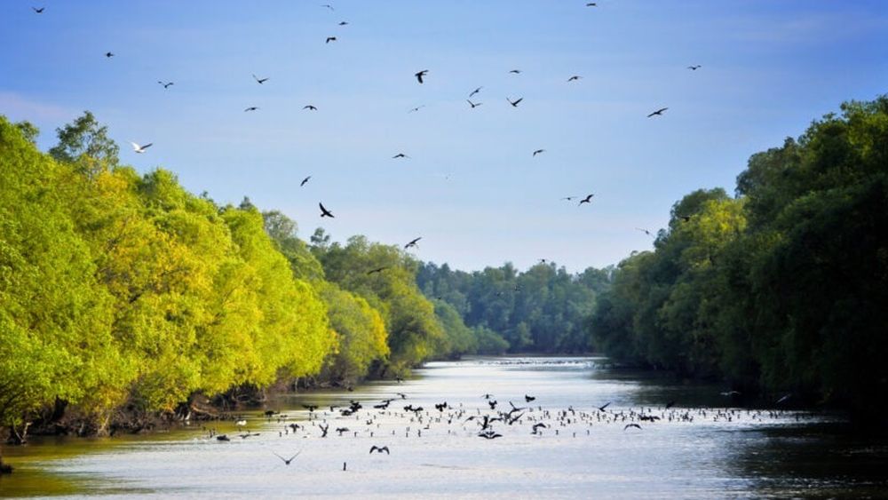 Un nou raport constată că circuitul apei pe planetă este din ce în ce mai „neregulat și extrem”