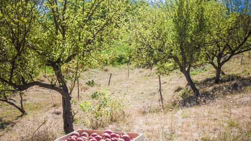 GastroWeekend I Al doilea sfârșit de săptămână din octombrie vine după o perioadă grea, cu ploi torențiale, dar e plină de evenimente gastronomice